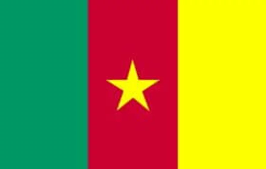Kamerun - vlajka