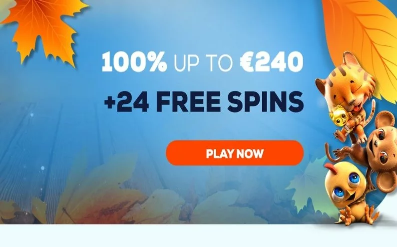 24Bettle Casino recenze☑️ | 100% do výše € 240 + 24 FS 🔥