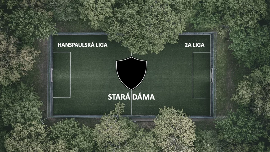 Stará dáma